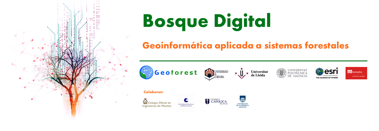 Bloque III: Mooc Bosque Digital. Inventarios de recursos de los ecosistemas forestales mediante LIDAR y RADAR
